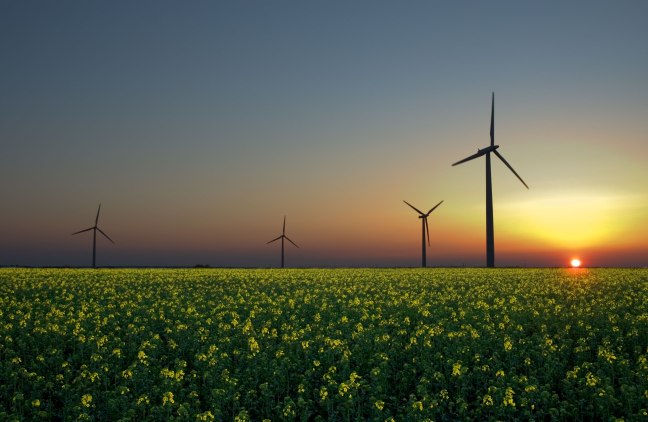 companies-investing-in-renewable-energy